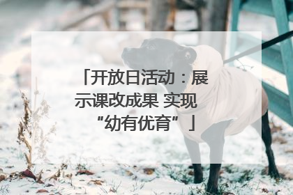 开放日活动：展示课改成果 实现“幼有优育”